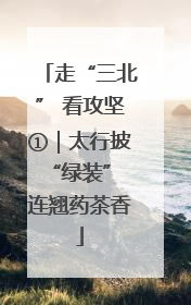 走“三北” 看攻坚①｜太行披“绿装” 连翘药茶香