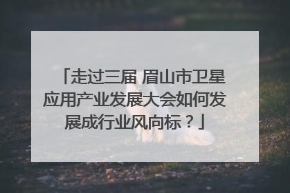 走过三届 眉山市卫星应用产业发展大会如何发展成行业风向标？