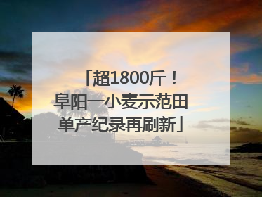 超1800斤！阜阳一小麦示范田单产纪录再刷新