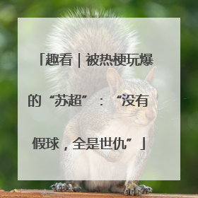 趣看｜被热梗玩爆的“苏超”：“没有假球，全是世仇”
