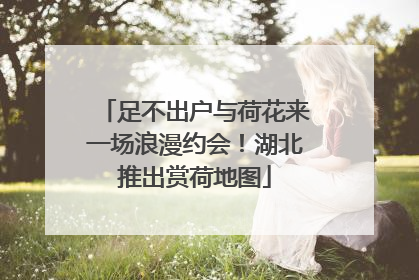 足不出户与荷花来一场浪漫约会！湖北推出赏荷地图