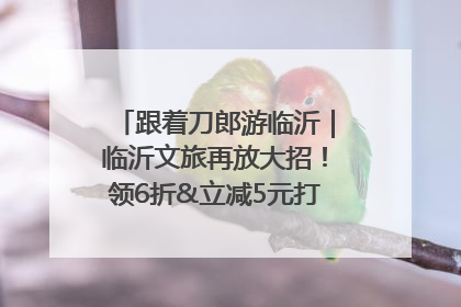 跟着刀郎游临沂｜临沂文旅再放大招！领6折&立减5元打车券，使用后还有2张5折券免费领！