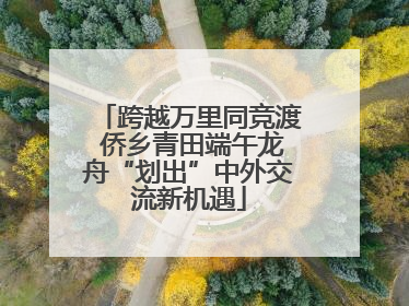 跨越万里同竞渡 侨乡青田端午龙舟“划出”中外交流新机遇