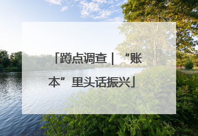 蹲点调查｜“账本”里头话振兴