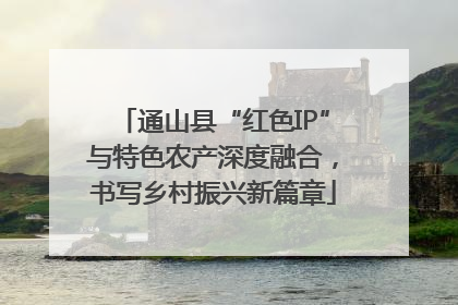 通山县“红色IP”与特色农产深度融合，书写乡村振兴新篇章