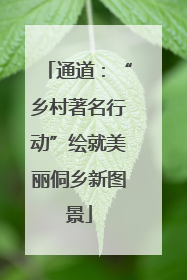 通道：“乡村著名行动”绘就美丽侗乡新图景