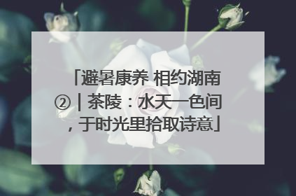 避暑康养 相约湖南②｜茶陵：水天一色间，于时光里拾取诗意
