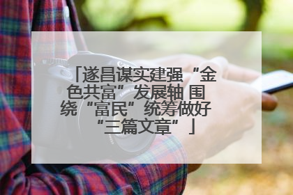 遂昌谋实建强“金色共富”发展轴 围绕“富民”统筹做好“三篇文章”