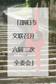 邵阳市文联召开六届二次全委会