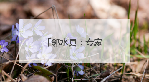 邻水县：专家“把脉”机播技术 农民直呼“解渴”又解惑