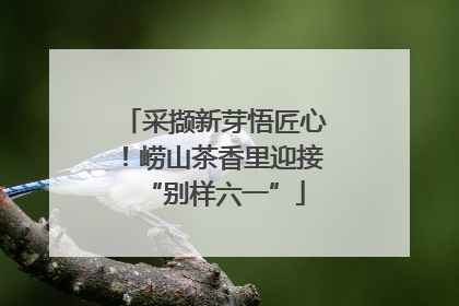 采撷新芽悟匠心！崂山茶香里迎接“别样六一”