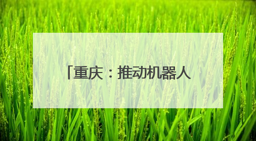 重庆：推动机器人产业高质量发展