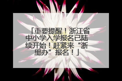 重要提醒！浙江省中小学入学报名已陆续开始！赶紧来“浙里办”报名！