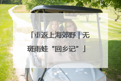 重返上海郊野｜无斑雨蛙“回乡记”