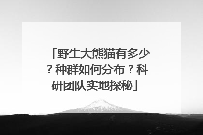 野生大熊猫有多少？种群如何分布？科研团队实地探秘