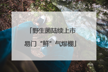 野生菌陆续上市 易门“鲜”气爆棚