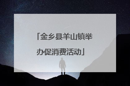 金乡县羊山镇举办促消费活动