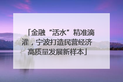 金融“活水”精准滴灌，宁波打造民营经济高质量发展新样本