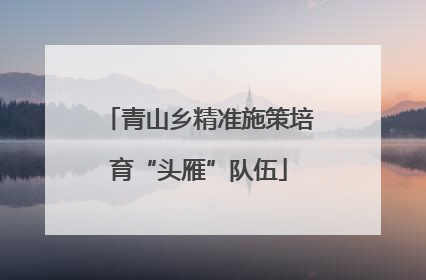 青山乡精准施策培育“头雁”队伍
