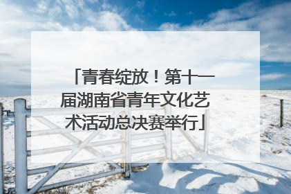 青春绽放！第十一届湖南省青年文化艺术活动总决赛举行