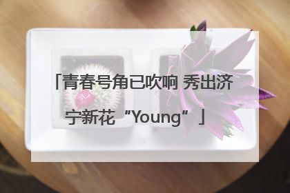青春号角已吹响 秀出济宁新花“Young”