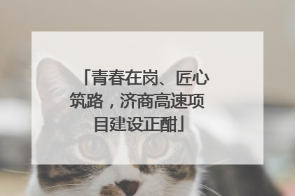 青春在岗、匠心筑路，济商高速项目建设正酣
