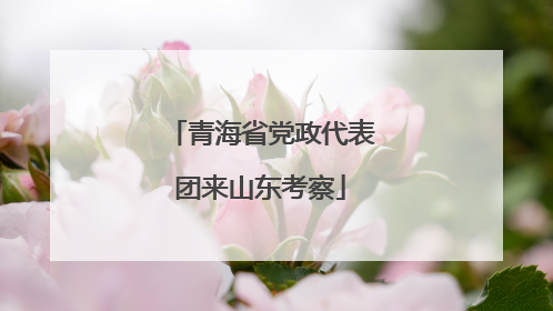 青海省党政代表团来山东考察