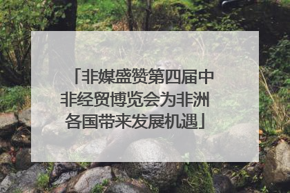 非媒盛赞第四届中非经贸博览会为非洲各国带来发展机遇