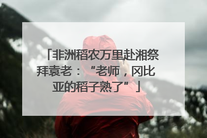 非洲稻农万里赴湘祭拜袁老：“老师，冈比亚的稻子熟了”