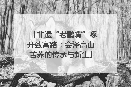 非遗“老鹳嘴”啄开致富路：会泽高山苦荞的传承与新生