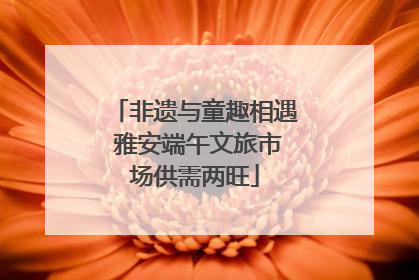 非遗与童趣相遇 雅安端午文旅市场供需两旺