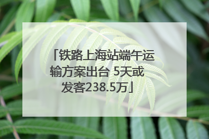 铁路上海站端午运输方案出台 5天或发客238.5万