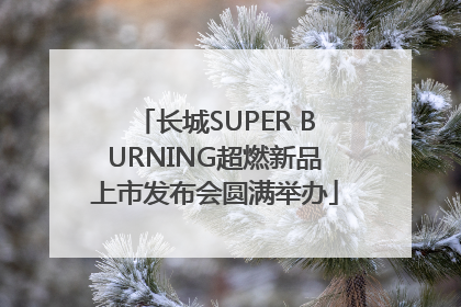 长城SUPER BURNING超燃新品上市发布会圆满举办