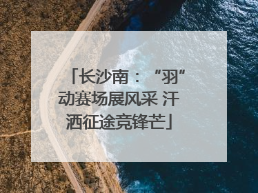 长沙南：“羽”动赛场展风采 汗洒征途竞锋芒
