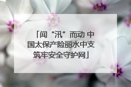 闻“汛”而动 中国太保产险丽水中支筑牢安全守护网