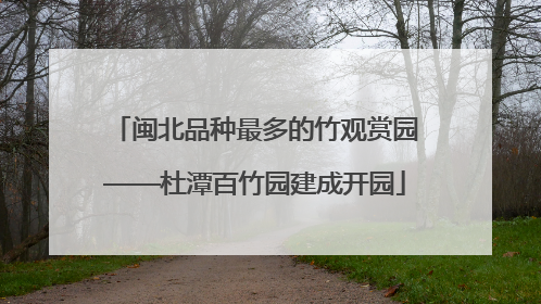 闽北品种最多的竹观赏园——杜潭百竹园建成开园