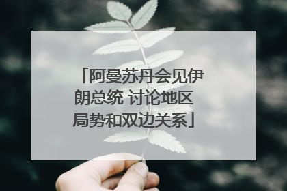 阿曼苏丹会见伊朗总统 讨论地区局势和双边关系
