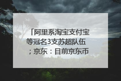 阿里系淘宝支付宝等冠名3支苏超队伍；京东：目前京东币链科技并没有开始发行稳定币｜早资道