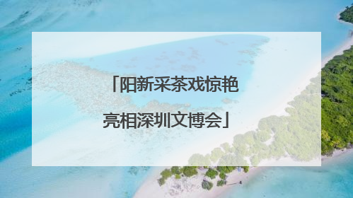 阳新采茶戏惊艳亮相深圳文博会