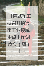 陈武军主持召开德兴市工业领域重点工作调度会（图）