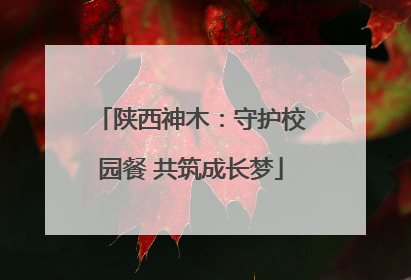 陕西神木：守护校园餐 共筑成长梦