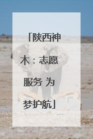 陕西神木：志愿服务 为梦护航