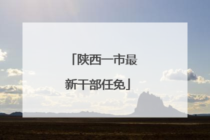 陕西一市最新干部任免