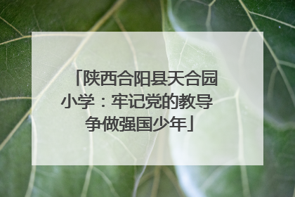 陕西合阳县天合园小学：牢记党的教导 争做强国少年