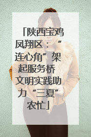 陕西宝鸡凤翔区：“连心角”架起服务桥 文明实践助力“三夏”农忙