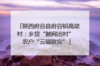 陕西府谷县府谷镇高梁村：乡货“触网出村” 农户“云端致富”
