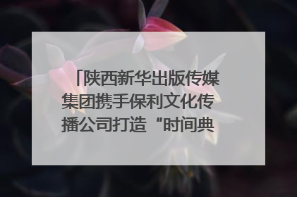 陕西新华出版传媒集团携手保利文化传播公司打造“时间典藏”数字艺术馆