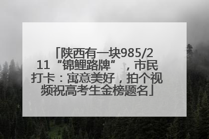 陕西有一块985/211“锦鲤路牌”，市民打卡：寓意美好，拍个视频祝高考生金榜题名