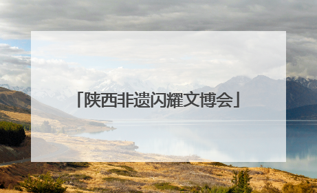 陕西非遗闪耀文博会