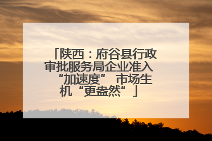 陕西：府谷县行政审批服务局企业准入“加速度” 市场生机“更盎然”